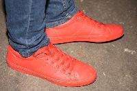 img_8528_(fileminimizer).jpg