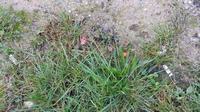 img-20160923-wa0000.jpg