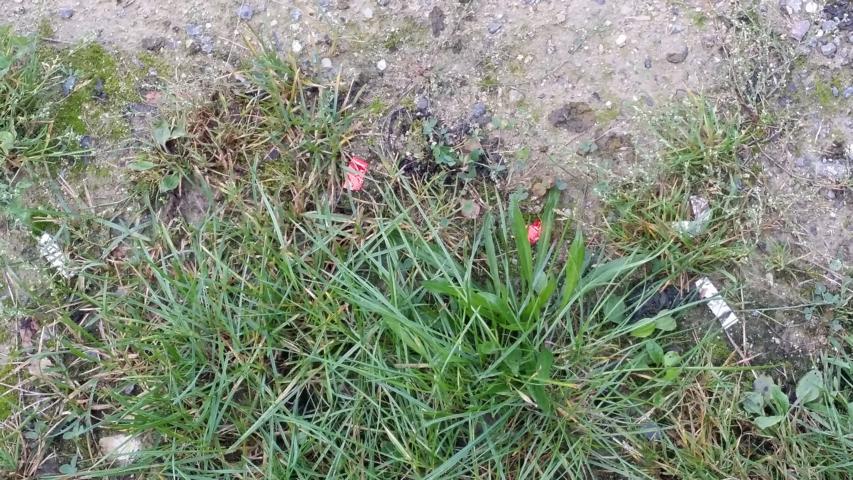img-20160923-wa0000.jpg