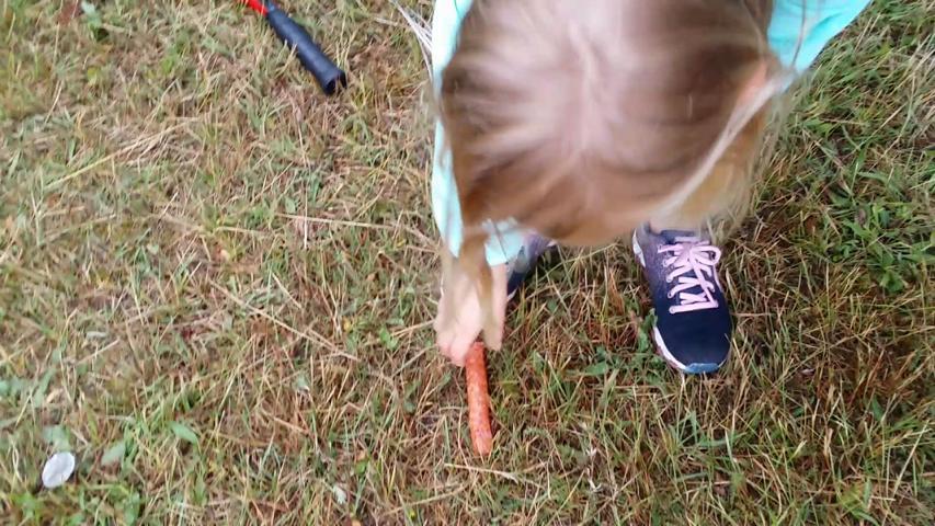 20170616_201000_99369.jpg